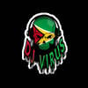 🇬🇾DJ VIRUS🇬🇾