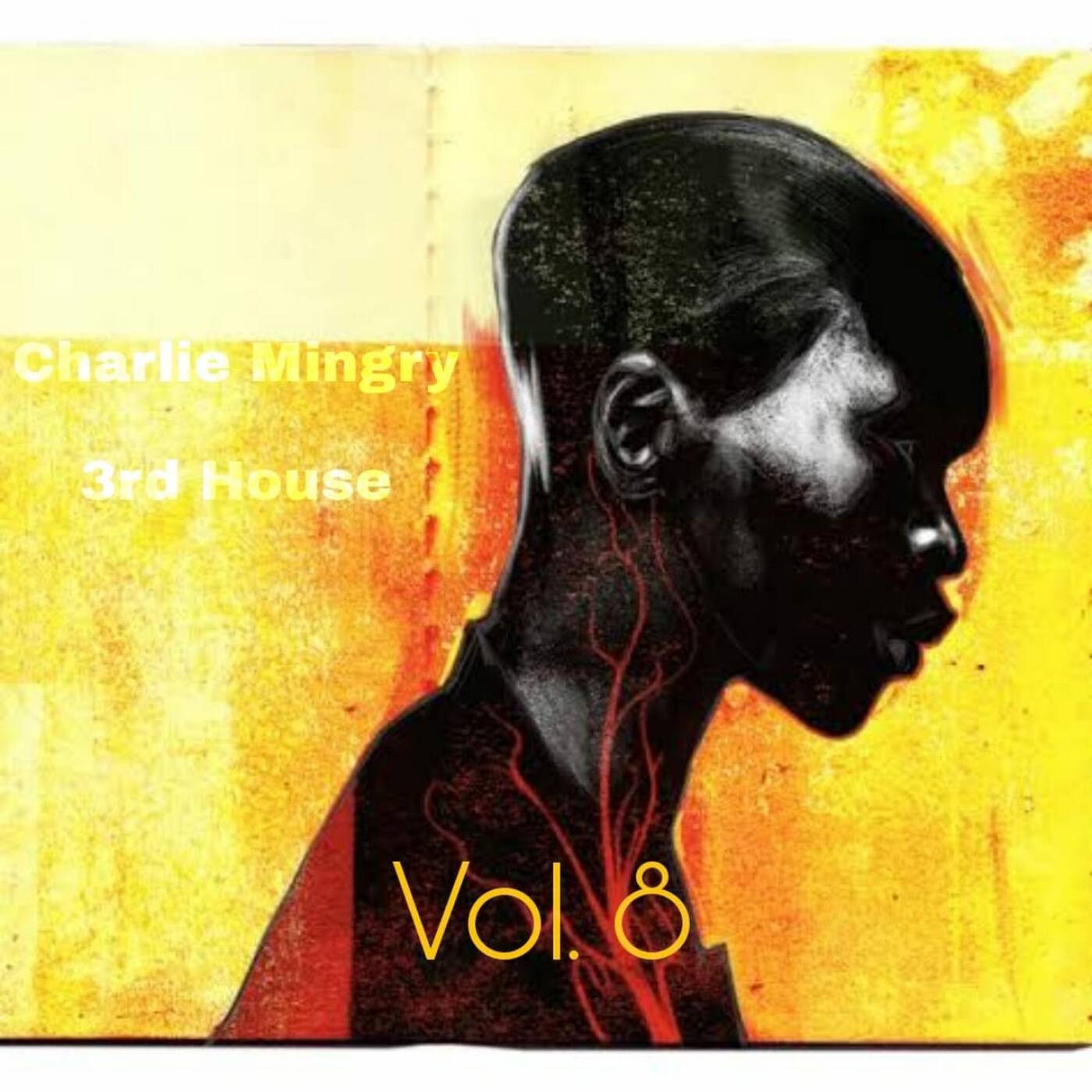 3rd House Sessions Vol.8 Revisited episode artwork