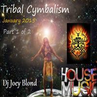 Tribal Cymbalism - Volume 1 - January 2015 (Part 1) by DJ JOEY BLOND