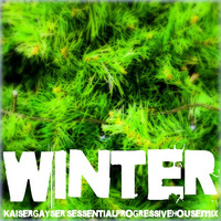 Kaiser Gayser's 'WINTER 2015' Essential Mix by Kaiser Gayser