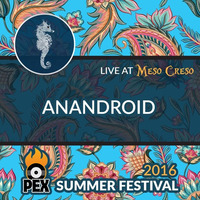 anandroid at PEX Summer Fest 2016 | Friday night at Meso Creso by anandroid