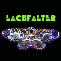 Lachfalter GOase Sylvester 2015 Live by  GOASE