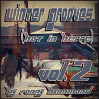 MIXTAPE : Winter Grooves (Hot In Herre) Vol. 2.. (11 chill Deephouse killers in the mix) by Ronny Hammond