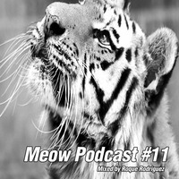 Roque Rodriguez - Meow Podcast #11 by Roque Rodriguez
