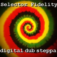 Selector Fidelity - digital dub steppa by Dj Szefi aka Selector Fidelity aka Tim Deeper