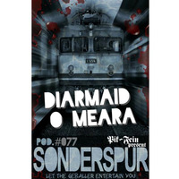 DIARMAID O MEARA @ SONDERSPUR ⎜ POD.#077 - FRANKFURT ⎜ 27.11.15 by Sonderspur Frankfurt (GER)