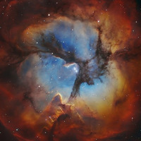 Sagittarius  [Free Download] by Ironass