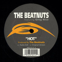 The Beatnuts - Hot vs. Common - Car Horn (DJ PxM Mashup) by DJ PxM