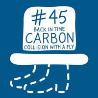 DER traegerlose HUT 45  - Carbon  - Collision with a Fly - Snippet by DER traegerlose HUT