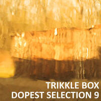 Trikkle Box - Dopest Selection 9 by Trikkle Box (DJ-Sets)