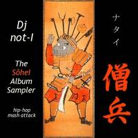 Collected Mashups Vol. 2b: The Sohei Album Sampler