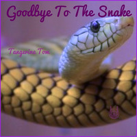 Goodbye To The Snake by Tangerine Tom