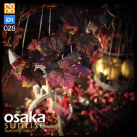 Osaka Sunrise 28 by rapa