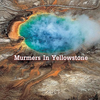 Murmers In Yellowstone by Alan Hamilton