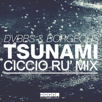DVBBS &amp; Borgeous - Tsunami (Ciccio Ru' Re-Edit Mix) -- FREE DOWNLOAD -- by Francesco Russo