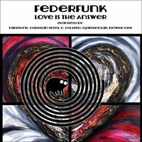 FederFunk - Right Thing To Do ( OUT ON TRAXSOURCE ) by FederFunk