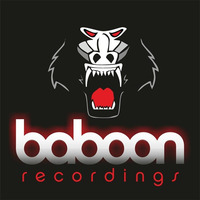 Danny Gallego -  Insane Mind (original mix) BABOON RECORDINGS FREE OO1 by Baboon Recordings