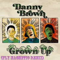 Danny Brown - Grown Up (Fly Magnetic Remix) by Xylenefree