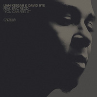 Liam Keegan & David Nye  Ft Eric Redd - You Can Feel It (Radio Edit) by Liam Keegan