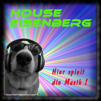 Hands Up for Schlager! by House Eisenberg