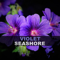 Seashore - Violet (Original mix) by SEASHORE