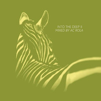 [into the deep II] minimal session mixed by Ac Rola ....N'joy it !!!! by Ac Rola