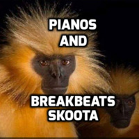 PIANOS AND BREAKBEATS - SKOOTA by Scott Skoota Reilly