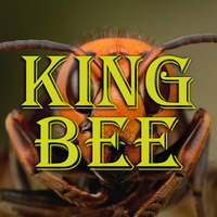 King Bee (Demo) by EdD