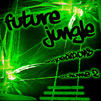 Future Jungle Expeditions Vol.2 - The Rumblist - Angry Pants (Top Drawer Digital)