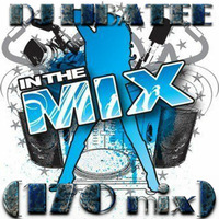 In The Mix (170 MIX) by Mathew LibAtee Morrison