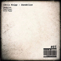 Chris Knipp - Dandelion by KNIPP