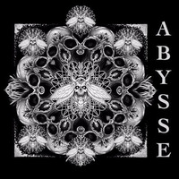 T.S.O.C - Abysse EP (2016)