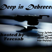 Silicone Music 002 (Guest Mix @ Deep in Debrecen Radio Show 07.09) by Indio