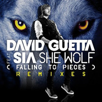 David Guetta ft Sia - She Wolf (Alex B-Cube Bootleg) by Alex B-Cube