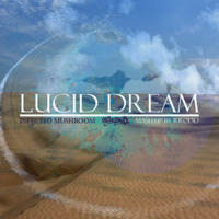 Lucid Dream (Aerosmith vs Infected Mushroom) by RRodd #2