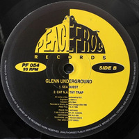 GLENN UNDERGROUND - SEA QUEST ( PEACEFROG REC ) 1996 by Underground Vinyl Collection