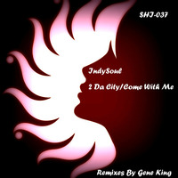IndySoul- 2 Da City by Another Gene King Remix