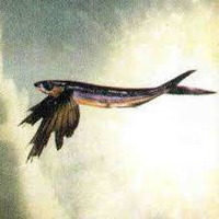 Los Que Aún No Han Nacido by ateful