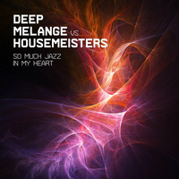DEEP MELANGE vs HOUSEMEISTERS - So Much Jazz In My Heart - Deep Melange Deep House extendet snip by SASHKA WOLFF