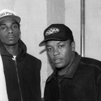 DJ Thomilla vs Snoop Dog & Dr Dre - Get Up G Thang (DJ BootOX Hotel ReWork) by DJ BootOX