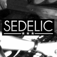 Sedelic Starting Something Original Festibooty Mix by Sedelic