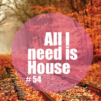 All I need is House # 54 by DJ DeNiro