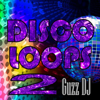 Disco Loops 2 by Guzz DJ