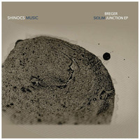 Breger - Shakeria (Original Mix) OUT NOW! by Breger