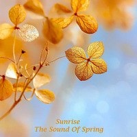 Sunrise - The Sound Of Spring by Sunrise