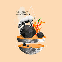 NEEDLES MUSIK - PIG IN SPACE by NEEDLES MUSIK