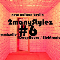#6 Gummizelle - 2manyStylez - DJ Set (DH vs Electronica) .mp3 by 2manyStylez             (new culture berlin)