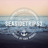 Seasidetrip 53 by San Miguel - Colorful Phonetic Soundwaves by Seasidetrip