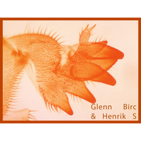 Glenn Birc & Henrik S - Frisk Slapp Ting by Henrik S