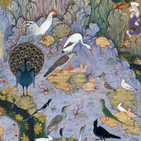 The Conference of the Birds (منطق الطیر) - (Kourosh - Marzieh - Googoosh - Minoo Javan - Kamkaran) by Codex of Plant Responses